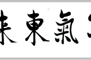 陈兵——《官方访谈·中国新时代书画名家》